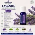  LAVANDA- Ulei esential 100% pur -  (Lavendula Hybrida var. Grosso) 5ml