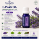  LAVANDA- Ulei esential 100% pur -  (Lavendula Hybrida var. Grosso) 5ml