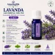  LAVANDA- Ulei esential 100% pur -  (Lavendula Hybrida var. Grosso) 5ml
