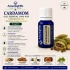  CARDAMOM-  Ulei esential 100% pur - CARDAMOM OIL (Elettaria Cardamomum)-5ml