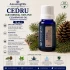 CEDRU-Ulei esential 100% pur  / CEDARWOOD OIL (Juniperus virginiana) 15 ml