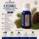 CEDRU-Ulei esential 100% pur  / CEDARWOOD OIL (Juniperus virginiana) 15 ml