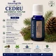 CEDRU-Ulei esential 100% pur  / CEDARWOOD OIL (Juniperus virginiana) 15 ml