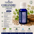 CORIANDRU-ulei esential 100% pur-CORIANDER-Coriandrum sativum  pure oil-15ml 