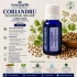 CORIANDRU-ulei esential 100% pur-CORIANDER-Coriandrum sativum  pure oil-15ml 