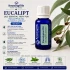  EUCALIPT -Ulei  esential 100% pur- EUCALYPTUS OIL (Eucalyptus globulus)-15 ml