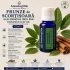 FRUNZE de SCORTISOARA -Ulei esential 100% pur -  CINNAMON LEAF OIL (Cinnamomum zeylanicum) 15 ml