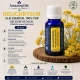 HELICHRYSUM Ulei esential 100%pur-HELICHRYSUM OIL(Helichrysum italicum) 15ml