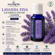 LAVANDA  FINA -Ulei esential 100% pur - LAVENDER (Lavandula angustifolia)  15 ml