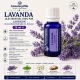  LAVANDA -  Ulei esential 100% pur - LAVANDIN  (Lavendula Hybrida var. Grosso) 15ml