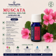 MUSCATA-Ulei esential 100% pur -/ GERANIUM  (Pelargonium graveolens ) 5ml