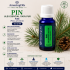 PIN -Ulei esential 100% pur - PINE (Pinus sylvestris) 15 ml