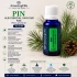 PIN -Ulei esential 100% pur - PINE (Pinus sylvestris) 15 ml