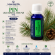 PIN -Ulei esential 100% pur - PINE (Pinus sylvestris) 15 ml