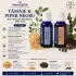  TAMAIE SI PIPER NEGRU-Set 2 uleiuri esentiale 100% pur-2x15 ml