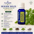  BUSUIOC DULCE -Ulei esential 100% pur -  SWEET BASIL (0scilium basilicum)-15 ml