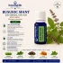   BUSUIOC SFANT-Ulei esential 100% pur -HOLY BASIL  (Ocimum sanctum)  5 ml 