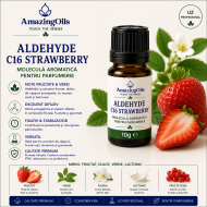 Aldehyde C16 Strawberry -10g