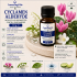 Cyclamen Aldehyde-10g