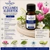 Cyclamen Aldehyde