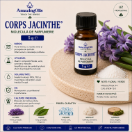 Corps Jacinthe-5g