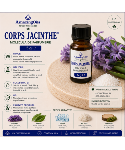 Corps Jacinthe-5g