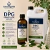Dipropylene Glycol (DPG)