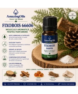  Fixobois 66606