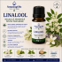 Linalool-10g