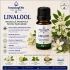 Linalool