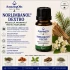 Norlimbanol® Dextro