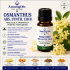 Osmanthus abs. synth. 138 B-5g