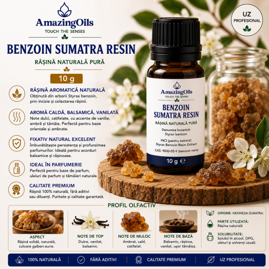 Benzoin Sumatra Resin-10g