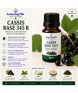 Cassis Base 345 B-5g