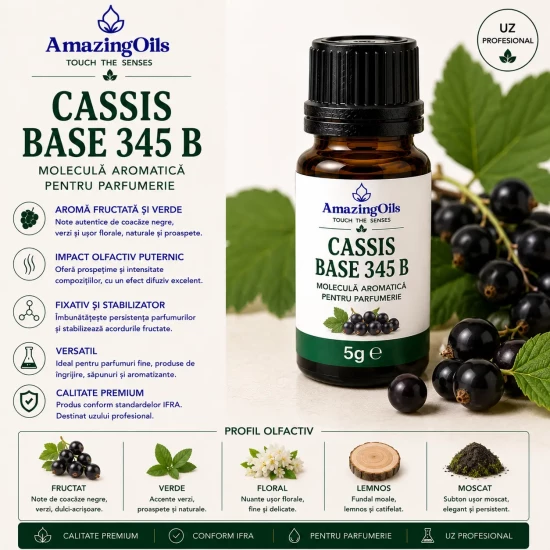 Cassis Base 345 B