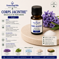 Corps Jacinthe-5g