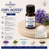 Corps Jacinthe