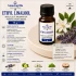 Ethyl Linalool