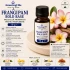 Frangipani Bold Base
