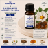 Labdanum Absolute 50% (DPG)-10g