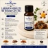 Labdanum Absolute MD SIGNature 22% (TEC)