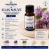 Lilas Mauve