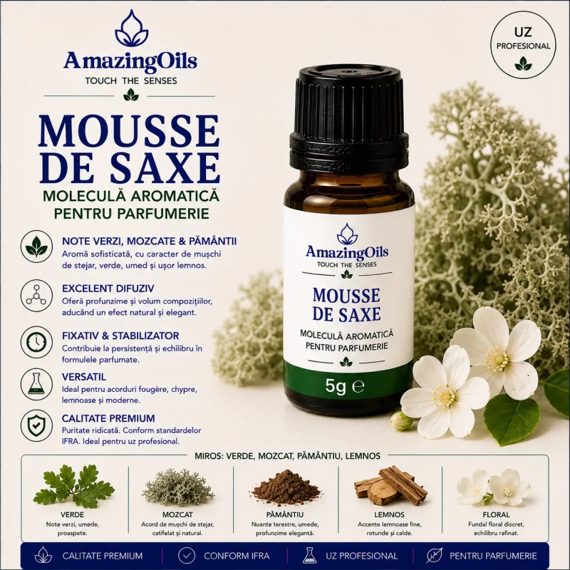 Mousse de Saxe 