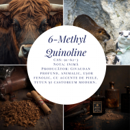 6-Methyl Quinoline 10%(TEC)-10g