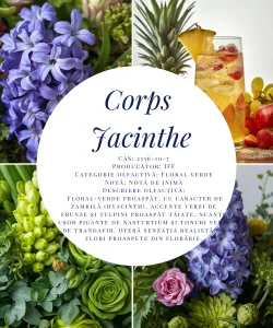 Corps Jacinthe-5g