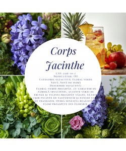 Corps Jacinthe-5g