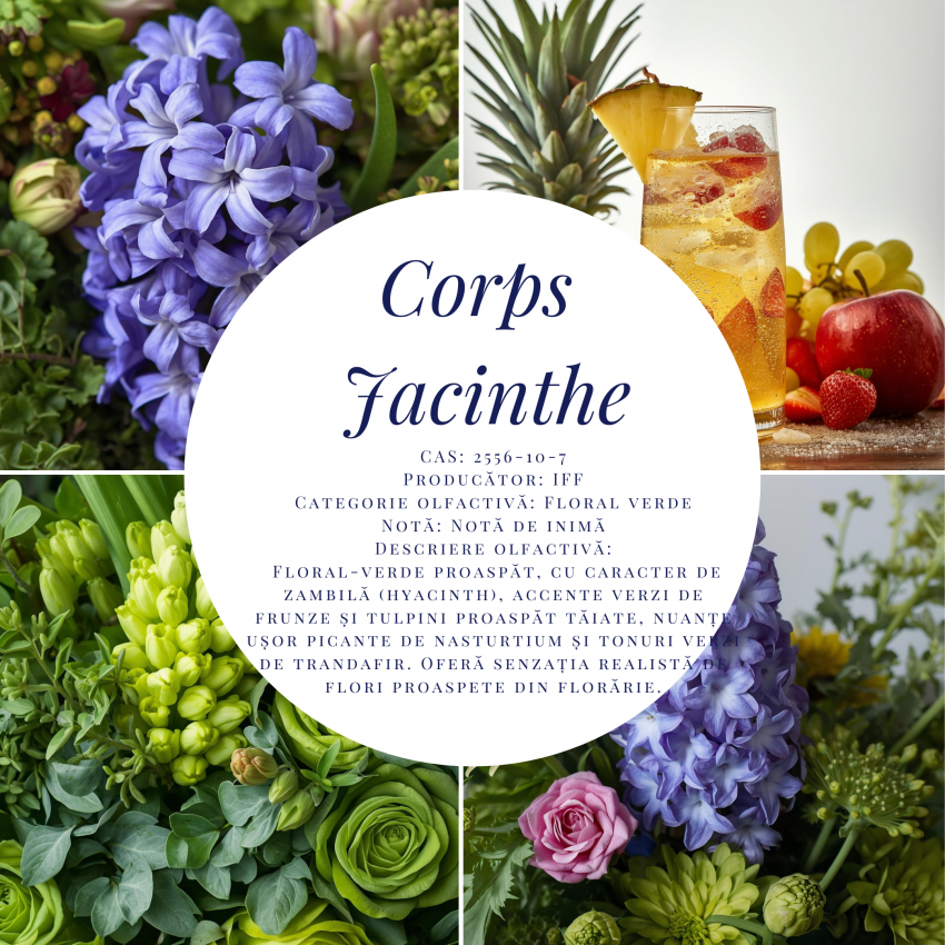 Corps Jacinthe-5g
