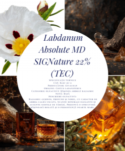 Labdanum Absolute MD SIGNature 22% (TEC)-5g