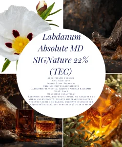 Labdanum Absolute MD SIGNature 22% (TEC)-5g