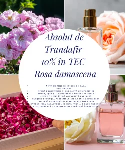 Absolut de Trandafir 10% în TEC – Rosa damascena-10ml